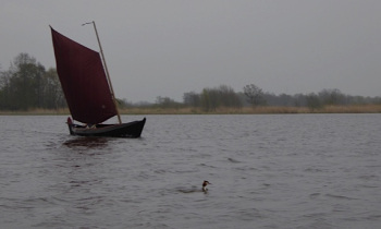 P1020362.jpg